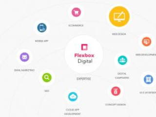 Small Business Web Design &amp; Development | Flexbox Digital