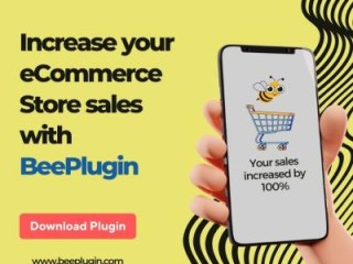 Affordable WooCommerce Plugin Development Services