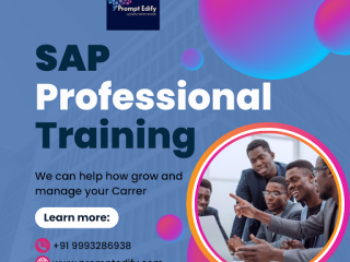  Elevate Your Career with SAP Certification and Training in South Africa