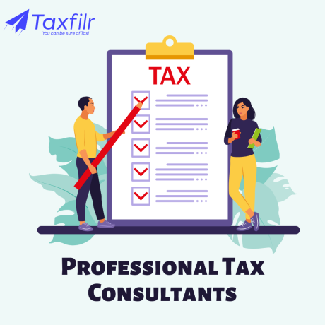 professional-tax-consultants-taxfilr-big-0