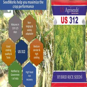 hybrid-rice-seed-manufacturer-big-0