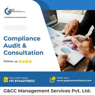 audit-and-consulting-services-delhi-big-0