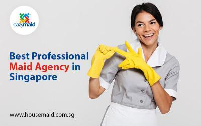 best-professional-maid-agency-in-singapore-big-0