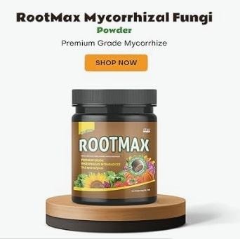 mycorrhizae-powder-for-bulk-orders-get-professional-packaging-big-0