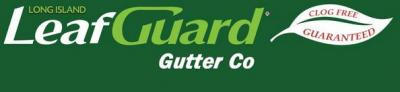 leafguard-gutter-guards-big-0