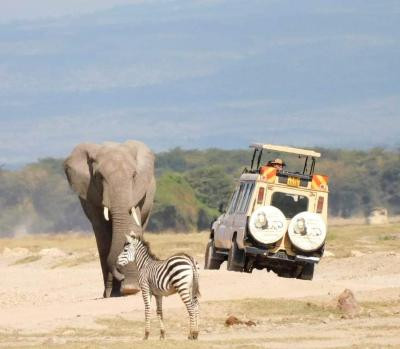 4-days-maasai-mara-wildebeest-migration-safari-tour-big-1