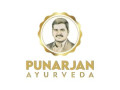 punarjan-ayurveda-store-small-0