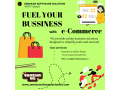 boost-sales-with-seamless-e-commerce-solutions-small-0