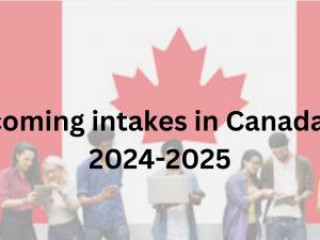 MSM Unify - Choosing the Right Intake in Canada