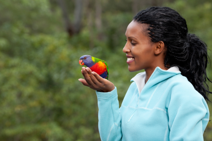 professional-bird-care-in-toronto-a-guide-to-happy-and-healthy-birds