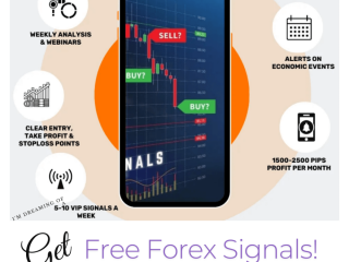 Ready to Trade Forex Like a Pro?