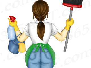 Cleaning Lady NYC