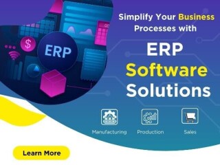 Advanced Custom ERP Software Development Services Company